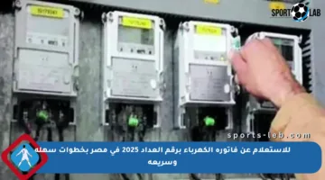 للاستعلام عن فاتورة الكهرباء برقم العداد 2025 في مصر بخطوات سهلة وسريعة